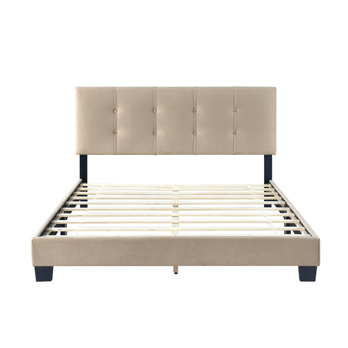 Bari Brown Queen Platform Bed