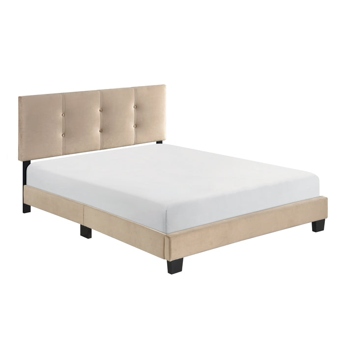 Bari Brown Full Platform Bed