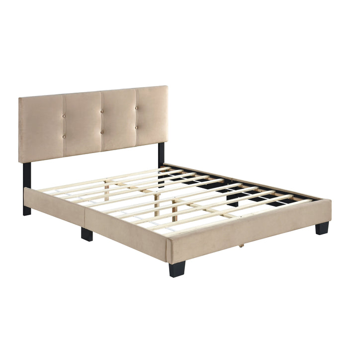 Bari Brown Full Platform Bed