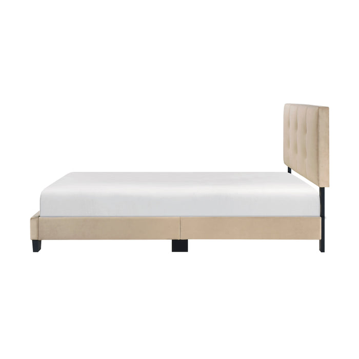 Bari Brown Full Platform Bed