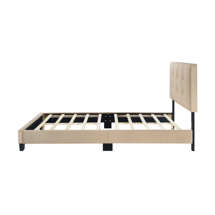 Bari Brown Full Platform Bed