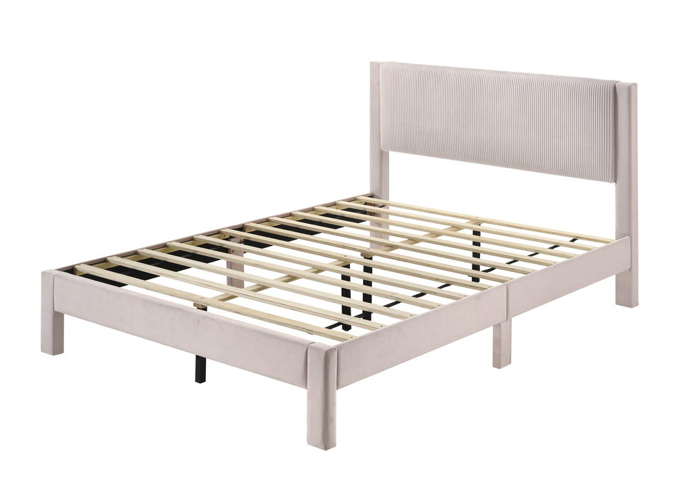 Lucia Pink Queen Platform Bed