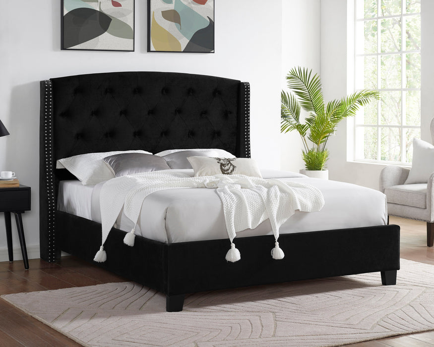 Eva Black Velvet Queen Upholstered Bed