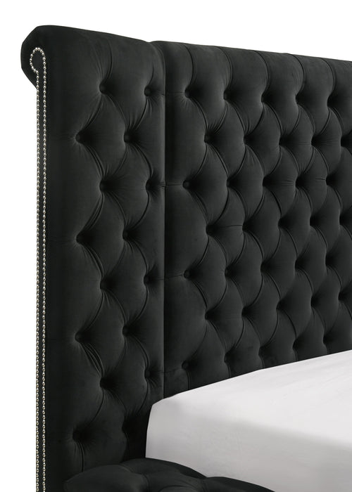 Liliana Queen Black Panel Bed