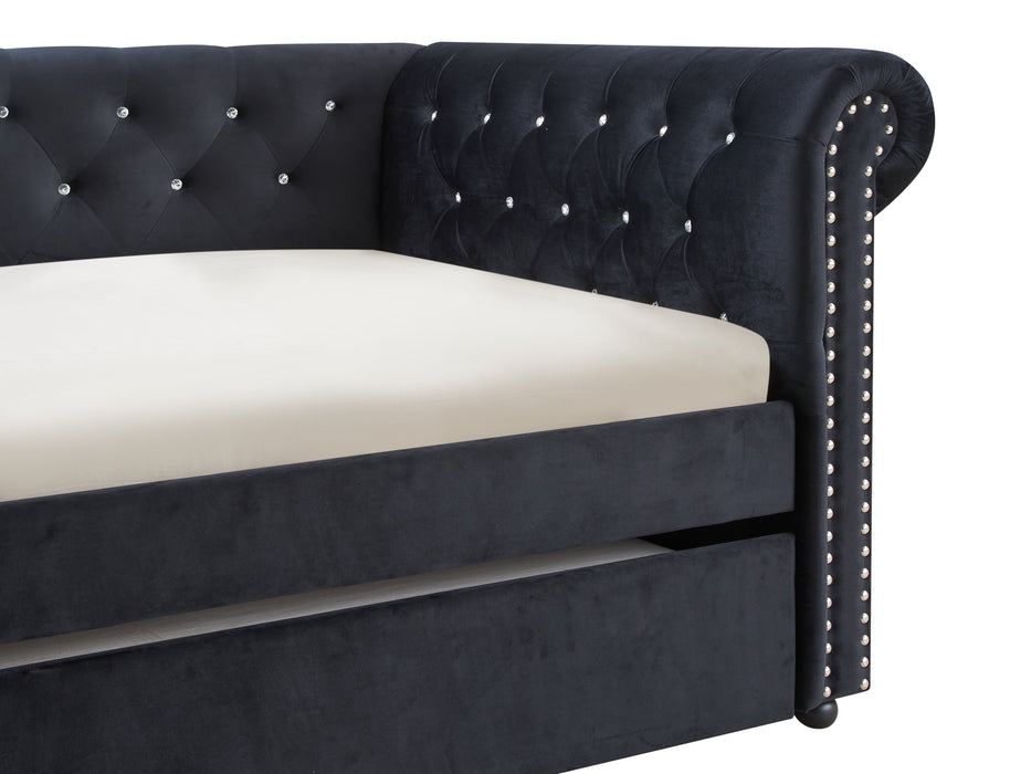 Ellie Black Velvet Twin Daybed with Trundle