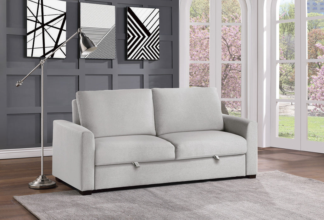 Price Gray Convertible Studio Sofa with Pull-out Bed