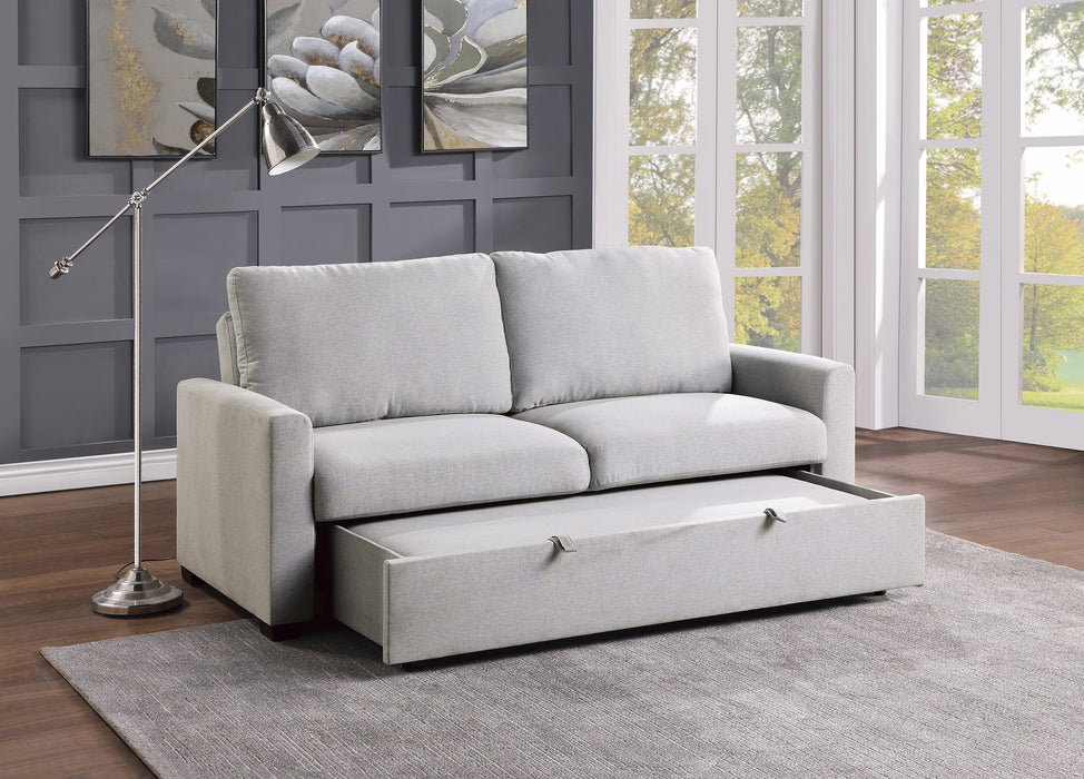 Price Gray Convertible Studio Sofa with Pull-out Bed