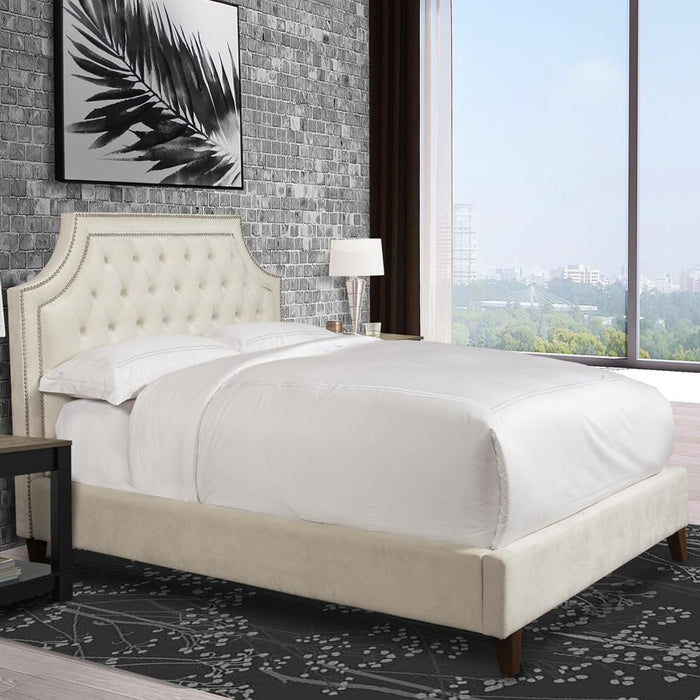 Modern Living - Jasmine Queen Bed in Champagne - BJAS#8000-2-CMP