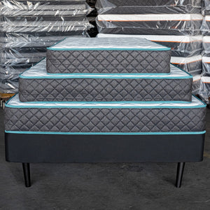 Teal Plush Mattress 8 Inches - Premium Tight Top Design