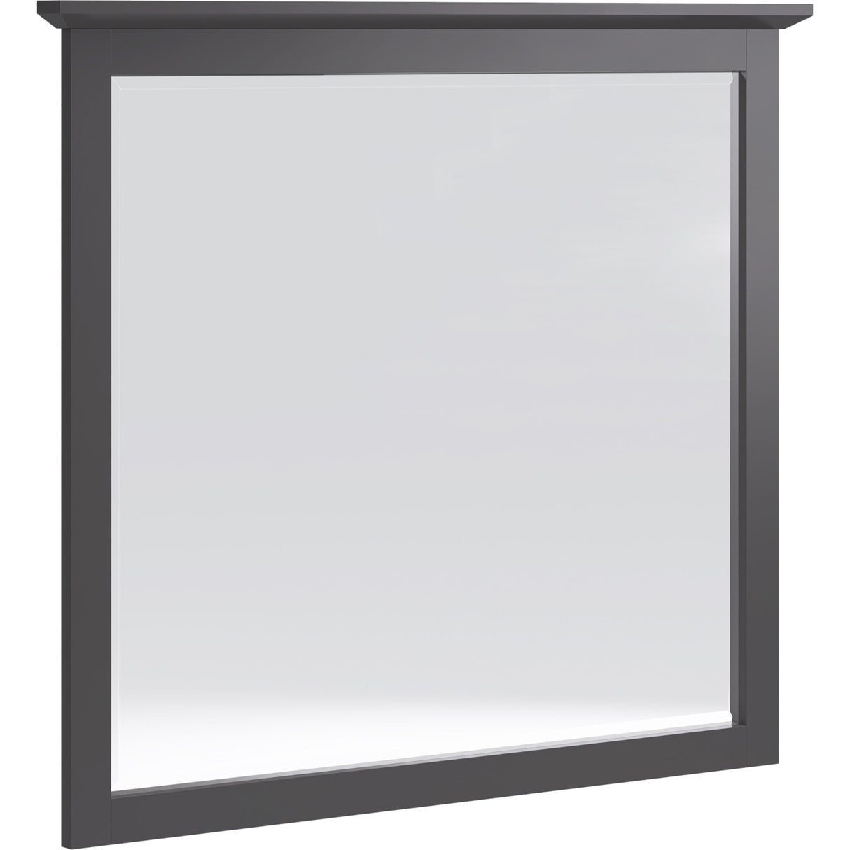 Grace Wall or Dresser Mirror in Raven Black
