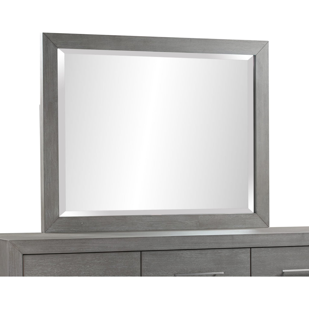 Melbourne Beveled Glass Mirror in Mineral