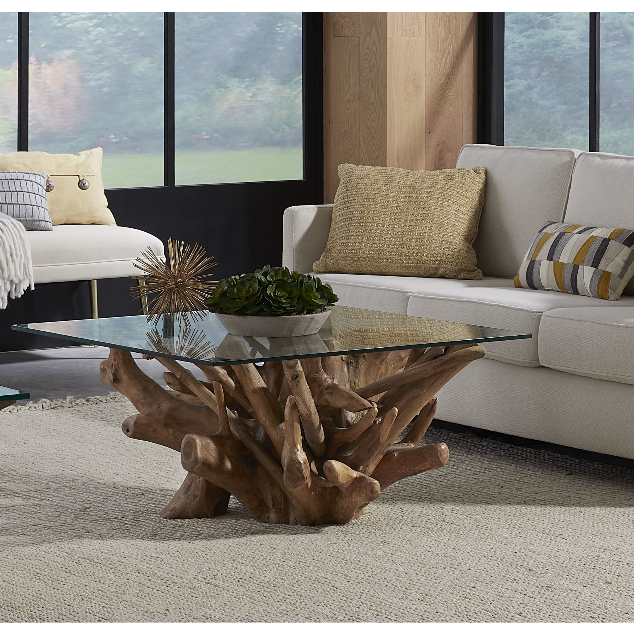 One Solid Teak Root Glass Top Coffee Table