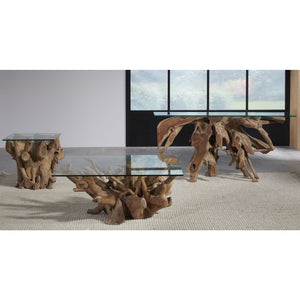 One Solid Teak Root Glass Top End Table