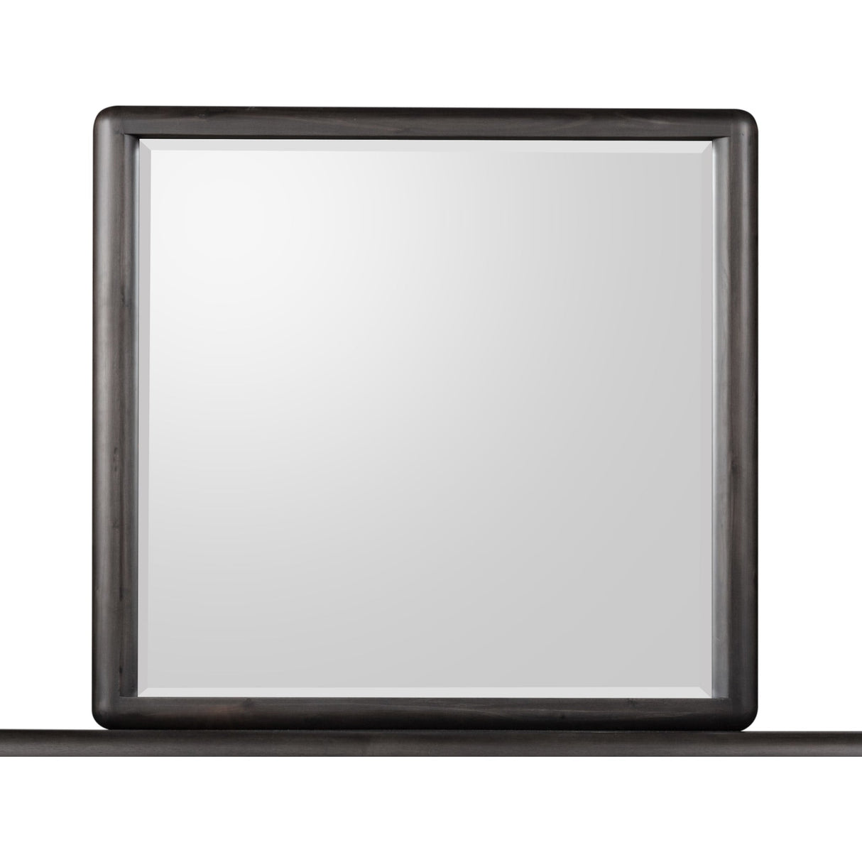Xolani Beveled Glass Wall or Dresser Mirror in Jaguar