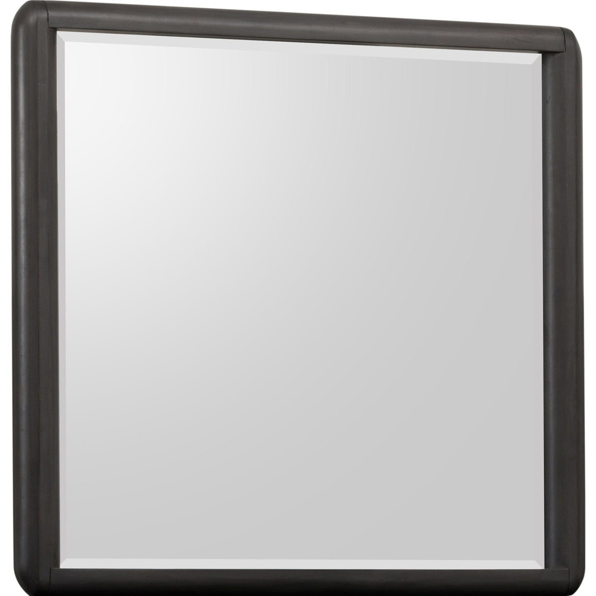 Xolani Beveled Glass Wall or Dresser Mirror in Jaguar
