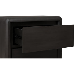 Xolani Two Drawer Acacia Wood Nightstand in Jaguar