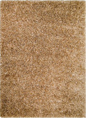 Decorative Shag Beige Rug