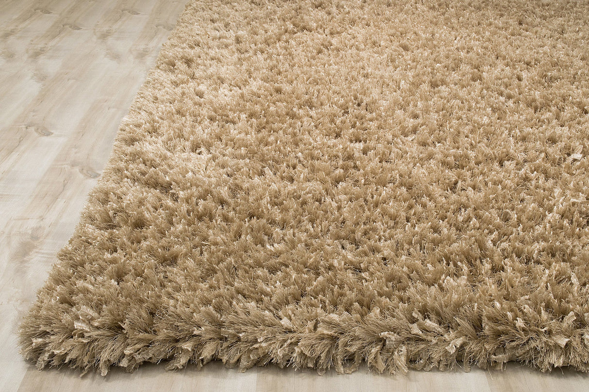 Decorative Shag Beige Rug