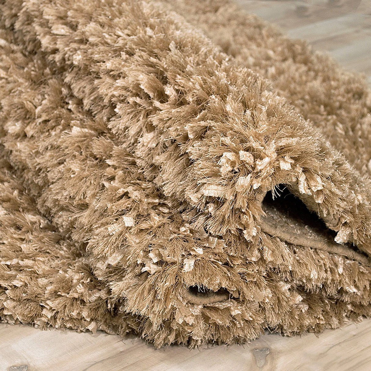 Decorative Shag Beige Rug