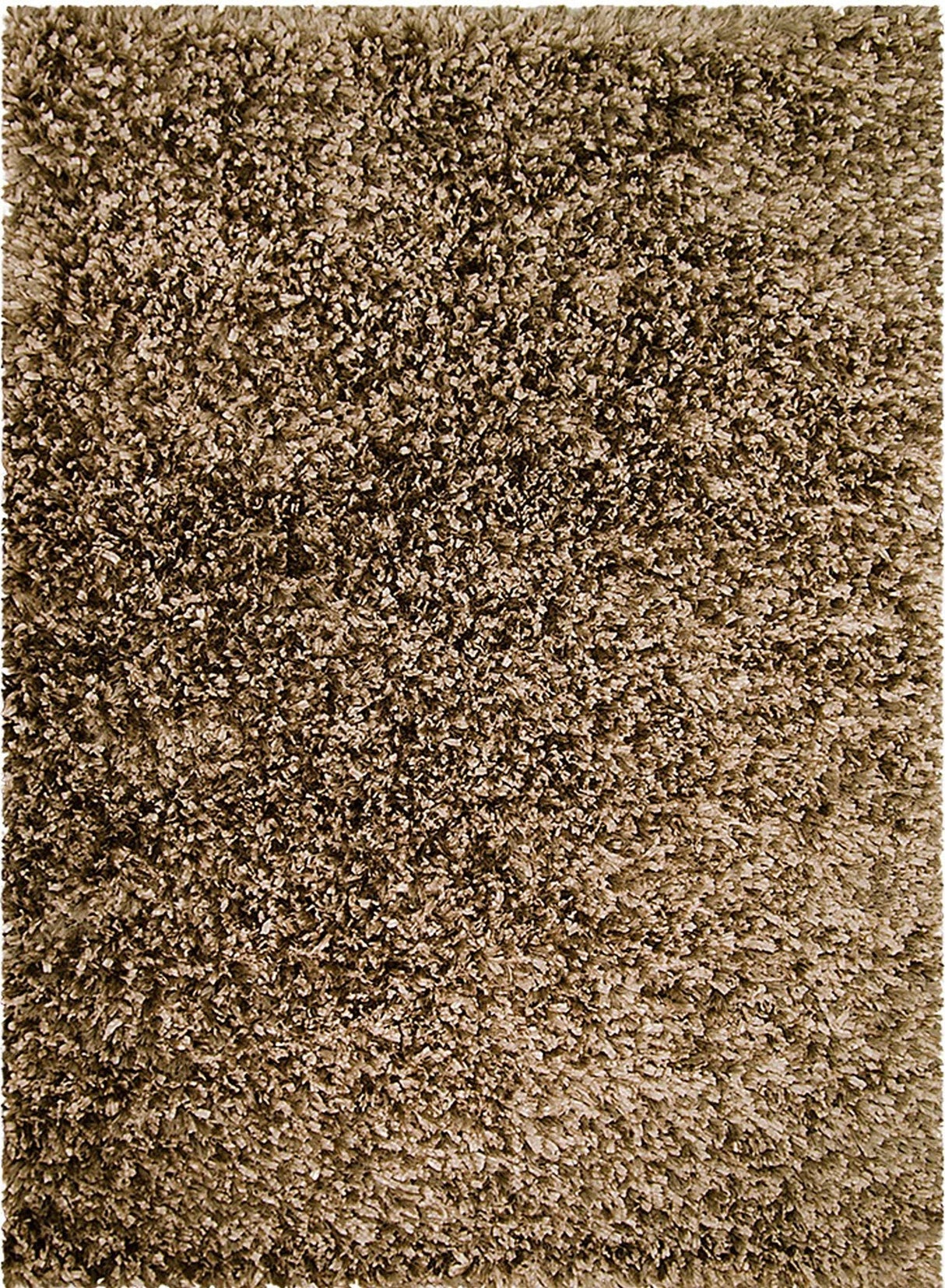 Decorative Shag Champagne Rug