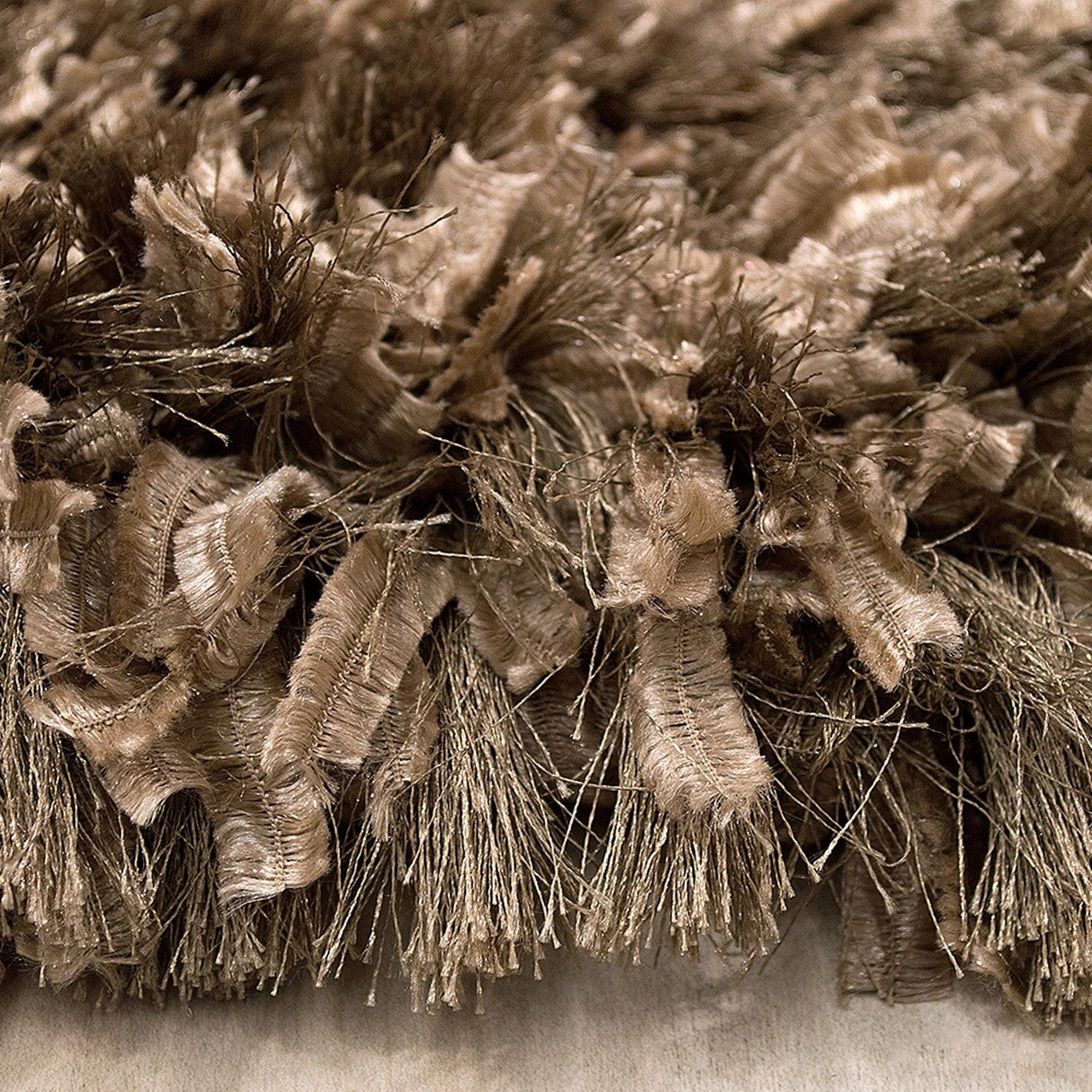 Decorative Shag Champagne Rug