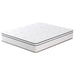 Salvia 12" Queen Hybrid Pocket Coil Mattress image