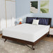 Nasturtium Mattress image