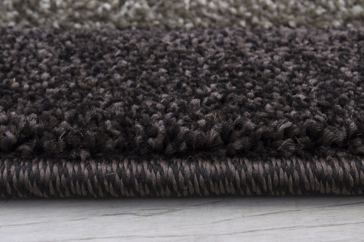 Hollywood 281 Chocolate Rug