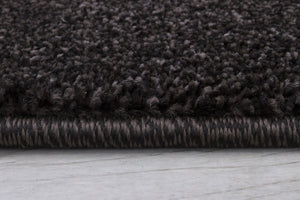 Hollywood 284 Chocolate Rug