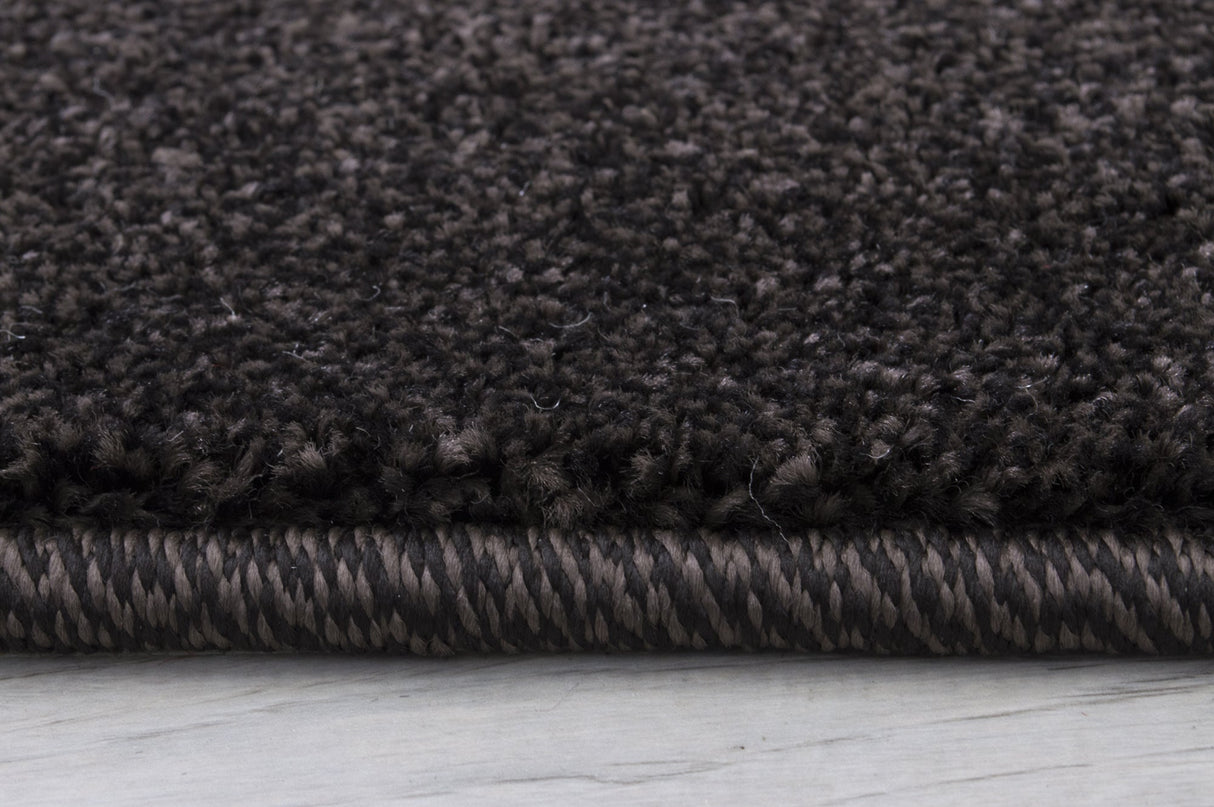 Hollywood 286 Chocolate Rug