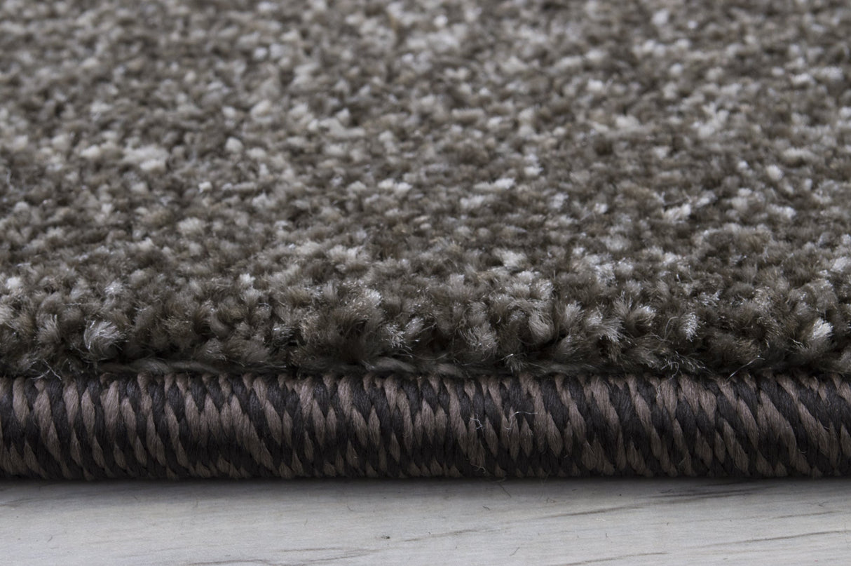 Hollywood 287 Chocolate Rug