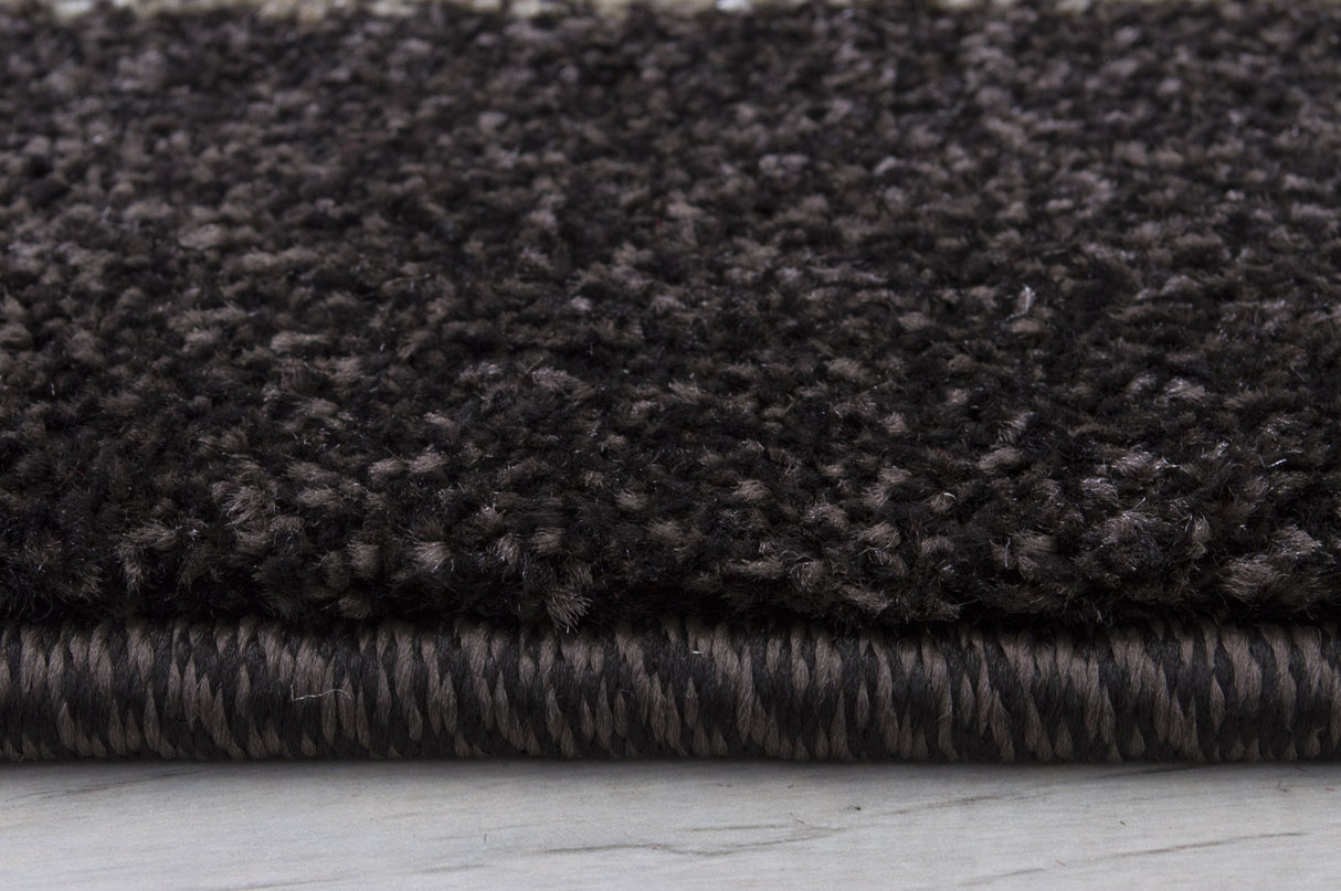 Hollywood 289 Chocolate Rug