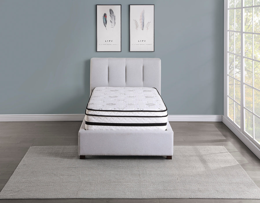 MT-PH12T 12' Twin Hybrid Mattress