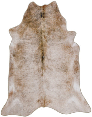 Orion 1123 Multicolor Rug