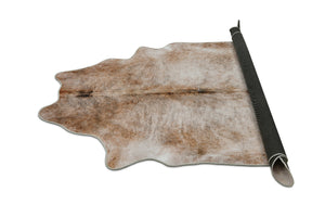 Orion 1123 Multicolor Rug