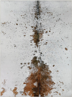 Orion 1124 Multicolor Rug