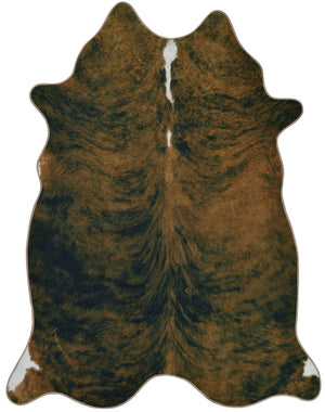 Orion 1126 Multicolor Rug