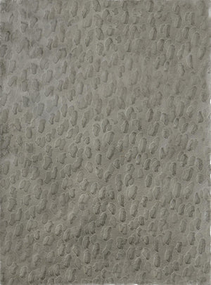 Bunny 50 Sculpted Champagne Rug